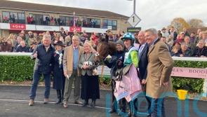 Hermes Allen set to represent Nicholls at Kempton, with Knappers Hill sidelined