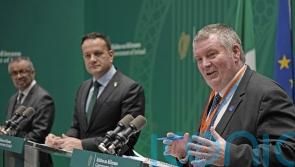 ‘Unpredicted events’ to blame for delay to Ireland’s Covid inquiry – Varadkar