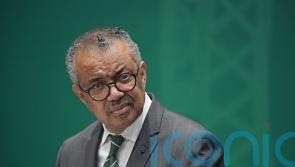 WHO chief thanks Ireland for ‘moral leadership’ on Gaza crisis
