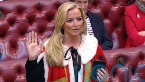 Mone digs in to row by saying ministers knew about her links to PPE firm