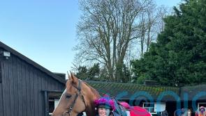 Horse named in tribute to late Queen dubbed ‘exciting prospect’