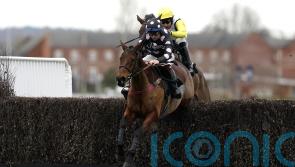 Pink Legend strikes Newbury Listed gold