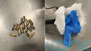 Passenger ‘hid bullets in nappy’ at airport in New York