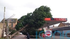 Fallen trees cause injury, damage and disruption as Storm Pia winds hit 115mph