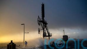 Transport disrupted and woman killed by falling tree as storms sweep Europe