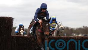 Djelo hits all the right notes in Ascot victory