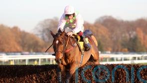 Royale Pagaille ruled out of King George bid
