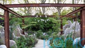 Gardening trends for 2024 – and the impact of climate change