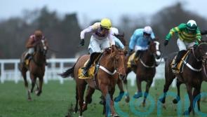 Luccia leads Trophy one-two for Seven Barrows