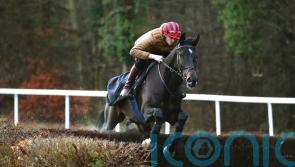 Noel George backing Francais to be Kempton star