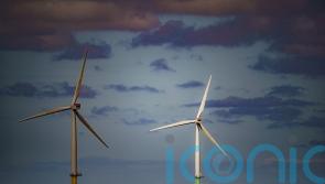 Renewed hope for renewable energy at end of rollercoaster year