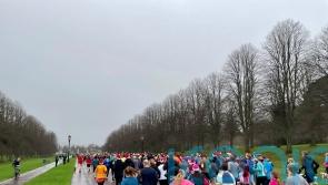 ‘There’s a real sense of community’: Hundreds join Christmas Day Stormont run