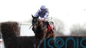 Joyeux Noel for George as Francais is Kempton star