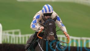 Grade One Rewards in Captain Guinness sights