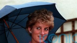 Diana showed ‘ignorance of, or disregard for’ NI constitutional state