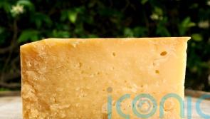 Four types of cheese recalled after possible E. coli contamination