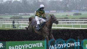 Dinoblue rewards supporters in Mullins clean sweep