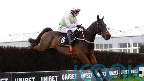 Limerick assignment looks ‘ideal’ for Gaelic Warrior