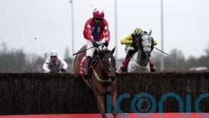 Editeur Du Gite blossoms once more in Desert Orchid