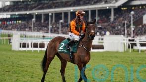 Noble Yeats shows promise in defeat with future in mind