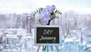 Alcohol-free beers, fizz and spirits to steer you through Dry January