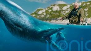 David Attenborough on painstaking process of excavating giant sea monster skull