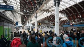 Paddington rail services suspended after person hit by train