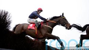 Fastorslow sidesteps Savills Chase due to Leopardstown ground