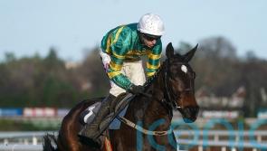 Fact To File gets off the mark over fences