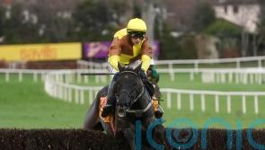 Galopin Des Champs sparkles with scintillating Savills success