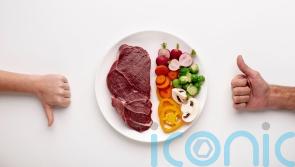 Veganuary: 7 of the most common questions vegans get asked – and how to respond