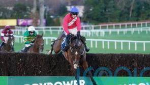 Grangeclare West strikes Grade One gold at Leopardstown