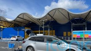 Long-term report: Our Suzuki Swace loves trips to Ikea