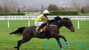 Dublin Racing Festival among options mooted for Burdett Road
