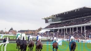 Southwell abandoned but Cheltenham all set to race