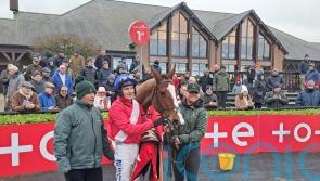 Rejuvenated Sir Gerhard ‘may go down Stayers’ Hurdle route’