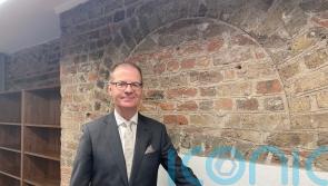 It is not our job to win the referendum for the government, says election tsar