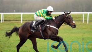 Henderson in search of Festival prep for Supreme favourite Jeriko Du Reponet