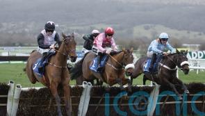 Bob Olinger the Relkeel hero back at Cheltenham