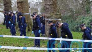 ‘There were families there’ – shock after boy, 16, killed at fireworks viewpoint