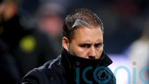Marti Cifuentes laments QPR’s ‘unacceptable’ defending in defeat to Cardiff