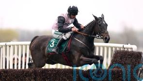 Gerri Colombe owner in awe of Galopin Des Champs