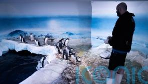6,100 creatures counted as ‘fun’ annual event at London aquarium returns