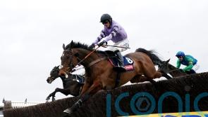 Nicholls confident Stage Star can get back on track