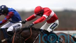 Crambo may take direct route to Festival