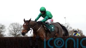 Twiston-Davies hails ‘brilliant’ Zambella as mare bows out