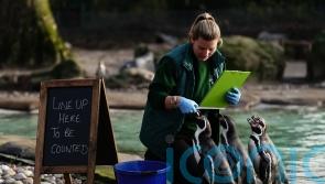 London Zoo embarks on two-day job counting 14,000 animals