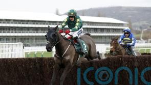 Cromwell sets sights on Cheltenham for Stumptown