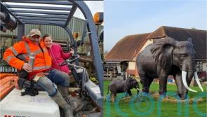 Thrifty dad who sells giant objects displayed in ‘dreamland’ Essex garden teaching family his trade after cancer news