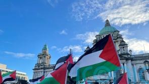 Pro-Palestine demonstrations held across the island of Ireland